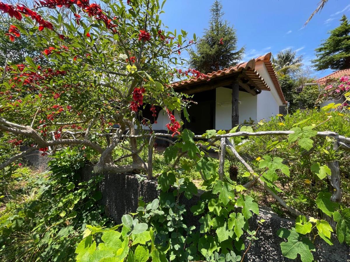 Casas De Campo Do Pomar B&B - Self Check-In Santana  Dış mekan fotoğraf